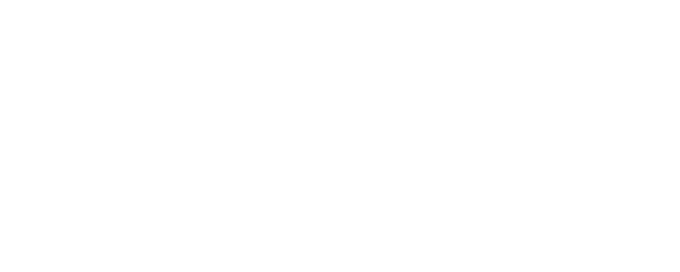 tevalis logo white